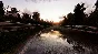 PROJECT CARS | STEAM | REGION FREE | MULTILANGUAGE