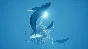 ABZU Global key Steam Region free
