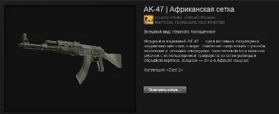 CS: GO - Random AK-47 + BONUS