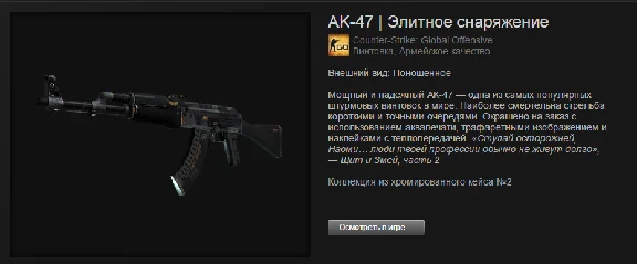 CS: GO - Random AK-47 + BONUS