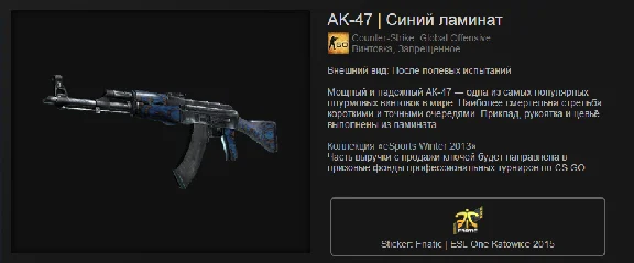 CS: GO - Random AK-47 + BONUS