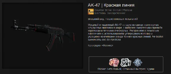 CS: GO - Random AK-47 + BONUS
