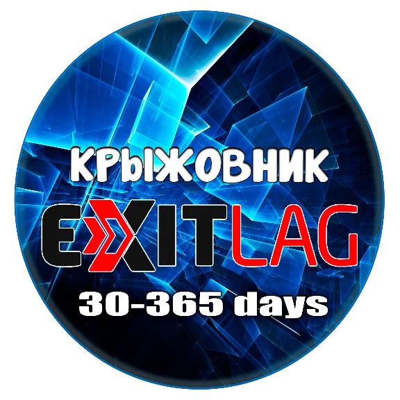 ExitLag accounts 1/3/6/12 months + Email Autodelivery