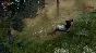 ⚡Steam RU- WolfQuest: Anniversary Edition| AUTODELIVERY