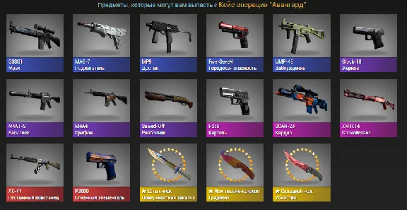 CS: GO random weapon from operations Vanguard Case