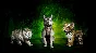 Diablo IV Vessel of Hatred Standart to Ultimate Upgrade