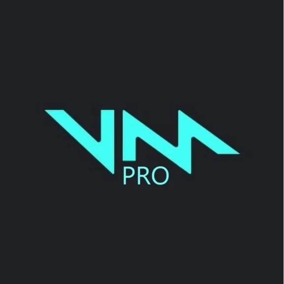 VOICEMOD PRO for 1 year (License Key)
