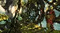 GUILD WARS 2: HEART OF THORNS + BASE GAME | GLOBAL