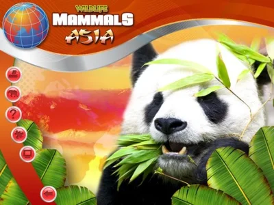 Wildlife Creative Studio 💎STEAM KEY REGION FREE GLOBAL