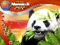 Wildlife Creative Studio 💎STEAM KEY REGION FREE GLOBAL