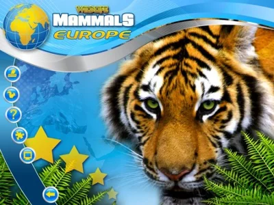 Wildlife Creative Studio 💎STEAM KEY REGION FREE GLOBAL