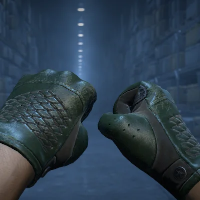 ★ Driver Gloves | Racing Green (Field-Tested)