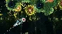 Deep Under the Sky STEAM KEY REGION FREE GLOBAL