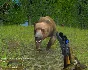 Hunting Unlimited 2010 STEAM KEY REGION FREE GLOBAL