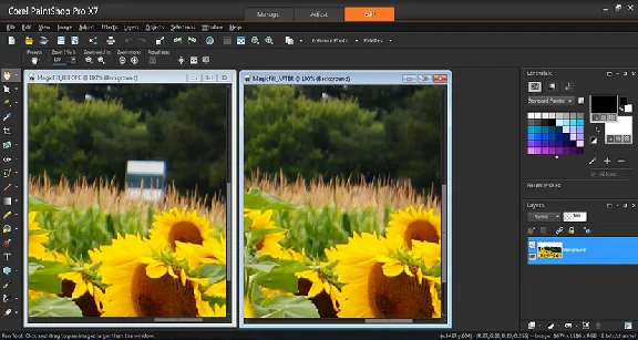 Corel PaintShop Pro x7 License Key