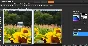 Corel PaintShop Pro x7 License Key
