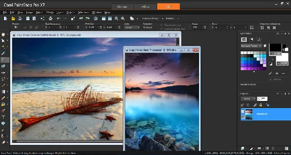 Corel PaintShop Pro x7 License Key