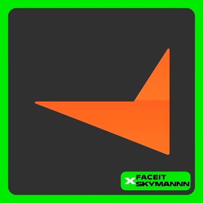 FACEIT SUBSCRIPTIONS | 1-12 Months | PLUS / PREMIUM