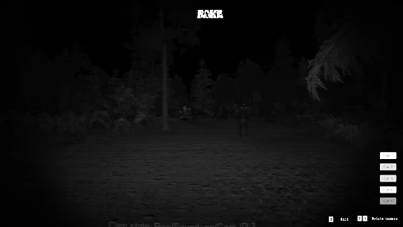 Rake (RU/CIS activation; Steam ROW gift)