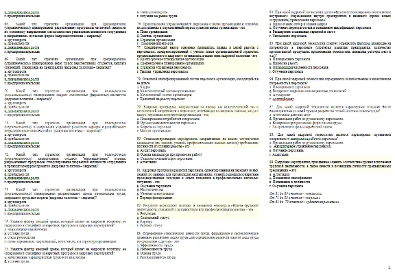 TEST staffing policy and audit issues 89 2015