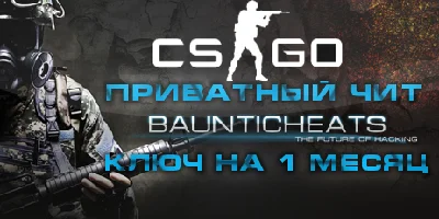 STEELHOOK для Counter-Strike: Global Offensive/1 месяц