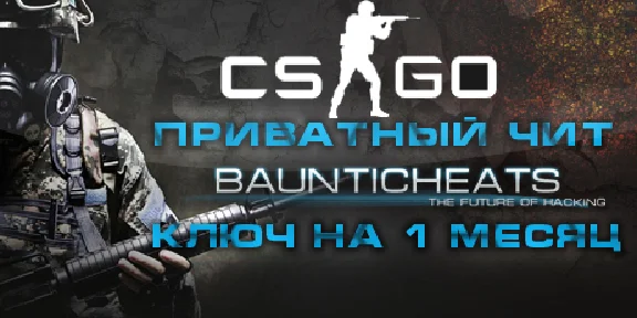 STEELHOOK для Counter-Strike: Global Offensive/1 месяц