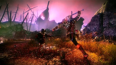 The Witcher 2: Assassins of Kings EE Steam Key/RegFree