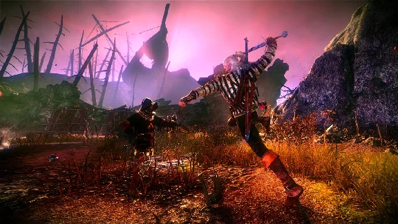 The Witcher 2: Assassins of Kings EE Steam Key/RegFree