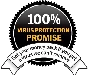 💯🏆Norton Antivirus/3 months 1 PC🏆💯