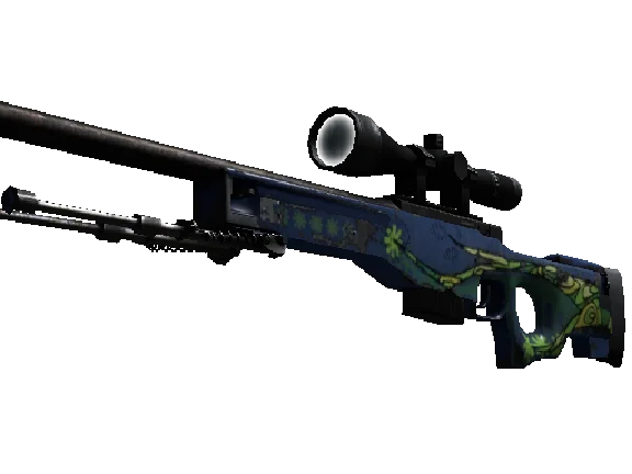 CS: GO - Random AWP + Bonus Review