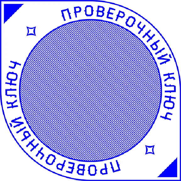 Шаблон печати ООО с защитой Скрытое изображение