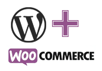 Assembling modules for wire payments WooCommerce