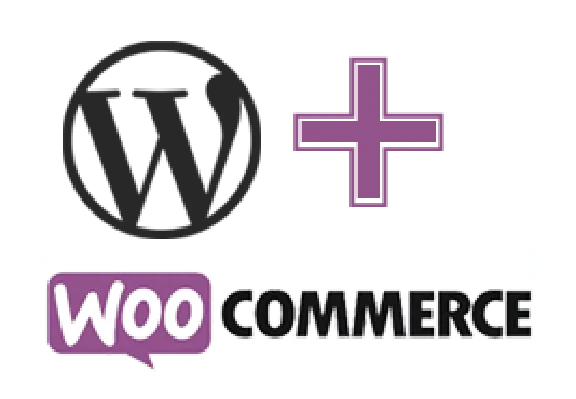 Assembling modules for wire payments WooCommerce