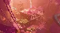 Creatures of Ava (Steam Gift Россия)