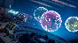 STAR WARS Jedi: Fallen Order™ 🔵 АВТОДОСТАВКА 🚀 STEAM