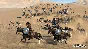 🐎Mount & Blade II Bannerlord {Steam Gift/Россия/СНГ}