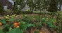 ☑️⭐House Flipper - Garden XBOX⭐Buy it u⭐☑️.