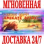 ✅Serious Sam: Kamikaze Attack! ⭐Steam\РФ+Мир\Key⭐ + 🎁