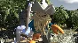 LEGO PIRATES OF THE CARIBBEAN THE VIDEO GAME\STEAM\KEY