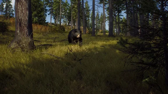 Way of the Hunter - Elite Edition КЛЮЧ🔑 STEAM РФ+СНГ