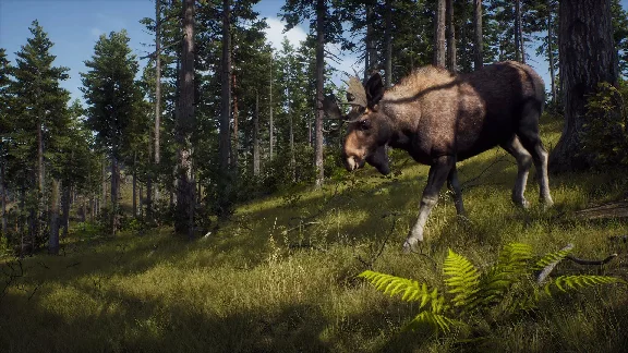 Way of the Hunter - Elite Edition КЛЮЧ🔑 STEAM РФ+СНГ
