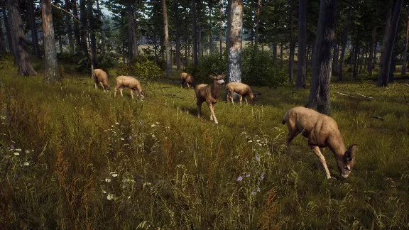 Way of the Hunter - Elite Edition КЛЮЧ🔑 STEAM РФ+СНГ