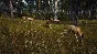 Way of the Hunter - Elite Edition КЛЮЧ🔑 STEAM РФ+СНГ