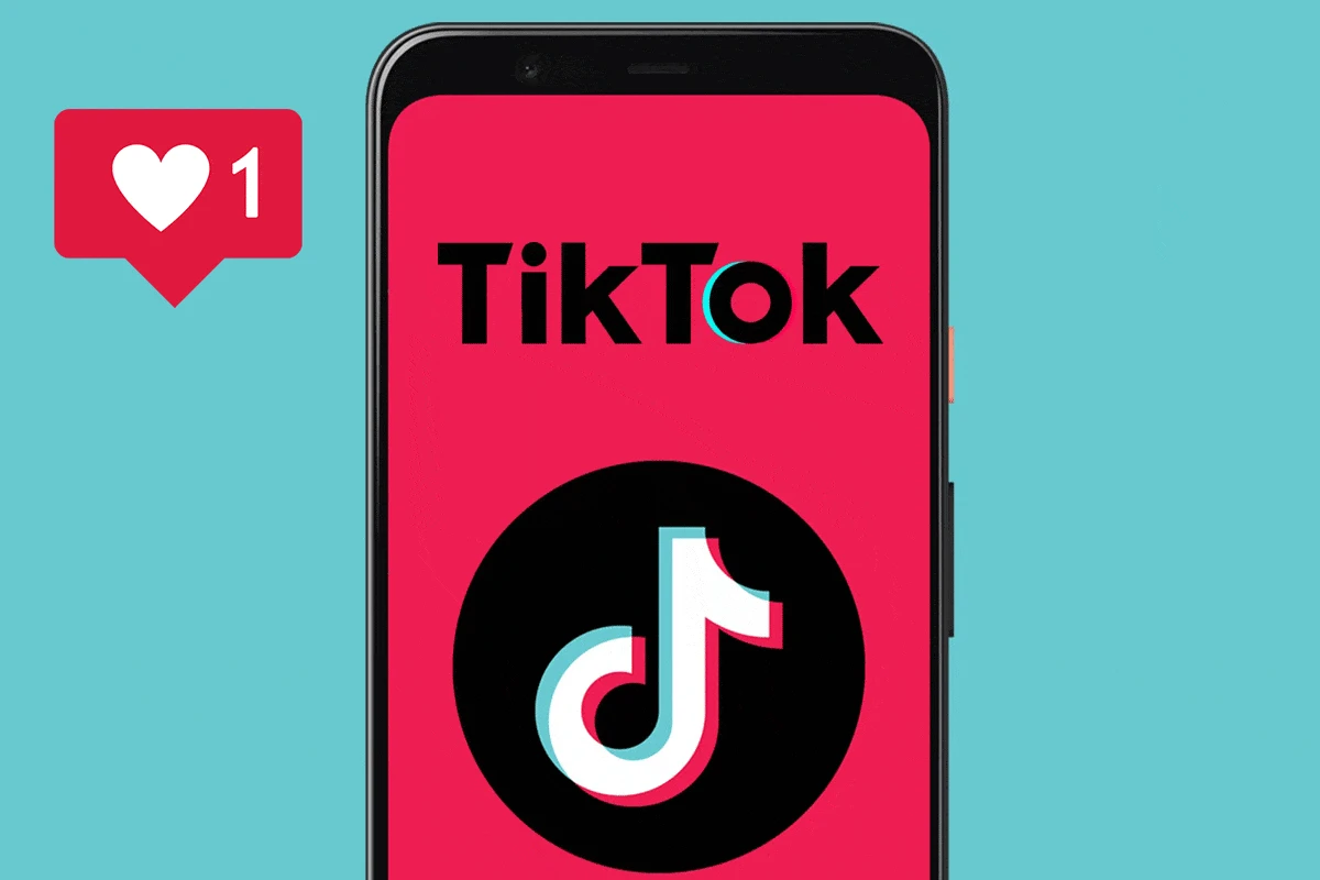 🚀 TIK TOK Subscribers  ✅   PAYPAL