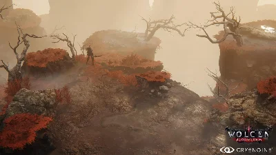 Wolcen: Lords of Mayhem КЛЮЧ🔑 STEAM ROW