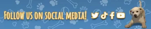 Little Friends: Puppy Island STEAM KEY🔑 RUSSIA+CIS
