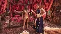 DLC Conan Exiles: Debaucheries of Derketo Pack KEY🔑