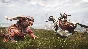 DLC Conan Exiles: Riders of Hyboria Pack STEAM KEY🔑