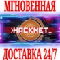 ✅Hacknet ⭐Steam\RegionFree\Key⭐ + Bonus