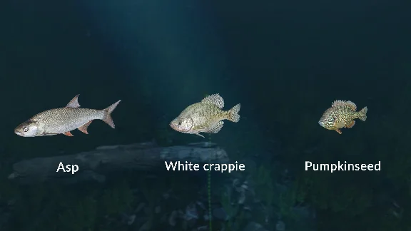 ✅💙ULTIMATE FISHING SIMULATOR - NEW FISH SPECIES💙STEAM